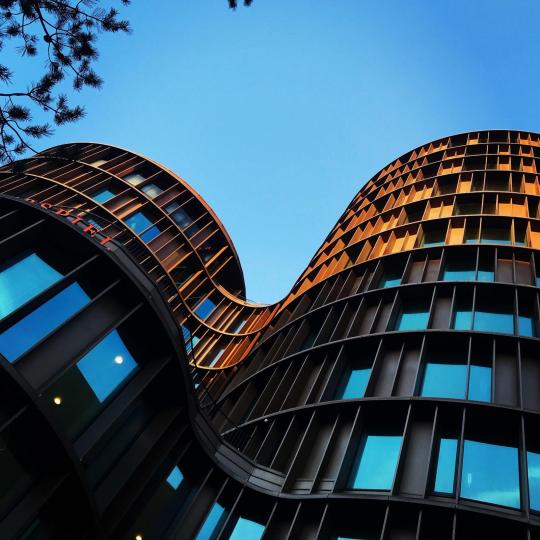 Foto Pexels: Material Future 